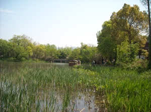 Xixi wetland